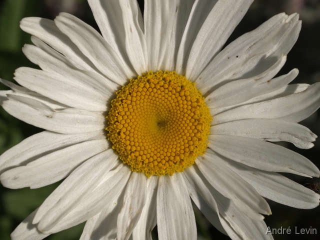 050713_095646