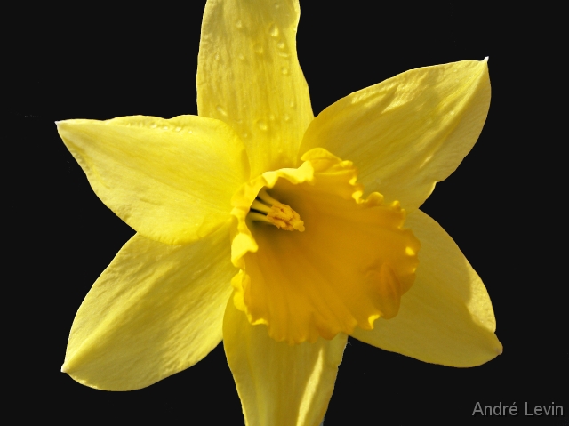 060422_152321_kopie