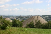 124_2431