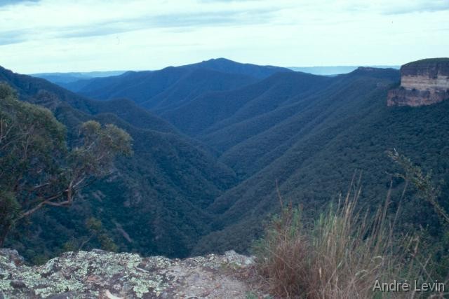 Blue_Mountains3 