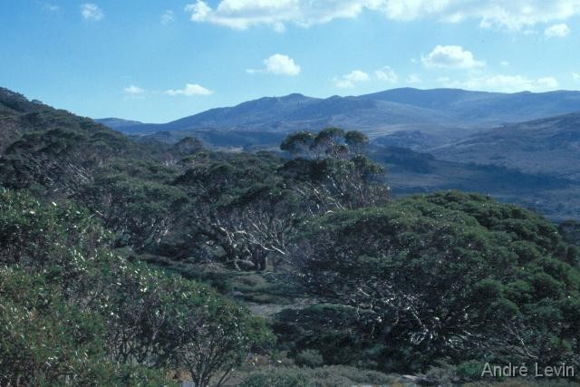 Kosciuszko1 
