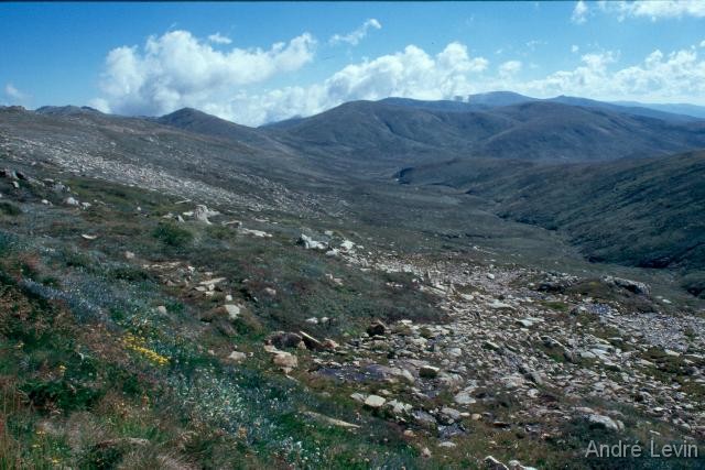 Kosciuszko2 