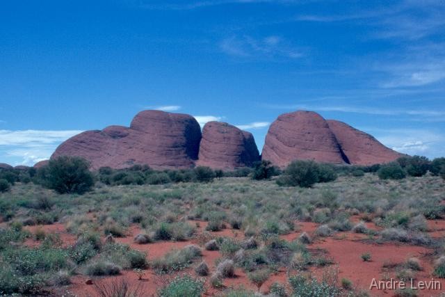 Olgas1 
