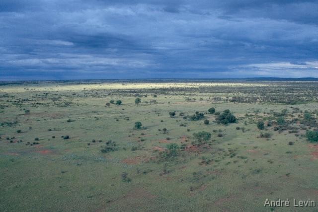 Outback 