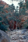 Mac_Donnell_Ranges1 
