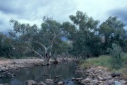 Mac_Donnell_Ranges2 