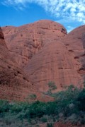 Olgas3 