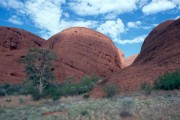 Olgas4 