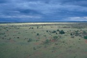 Outback 