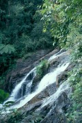 Dinner_Falls 