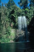Millaa_Milla_Falls 