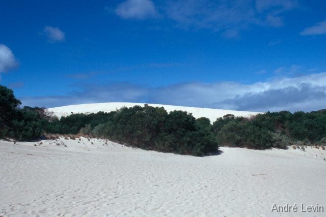 Little_Sahara 
