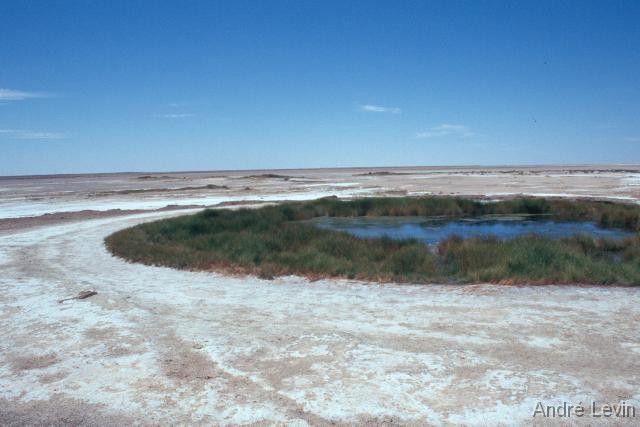Mound_Springs 