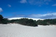 Little_Sahara 