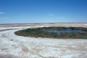 Mound_Springs 