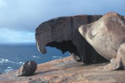 Remarkable_Rock 