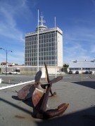 051123_103015_479 