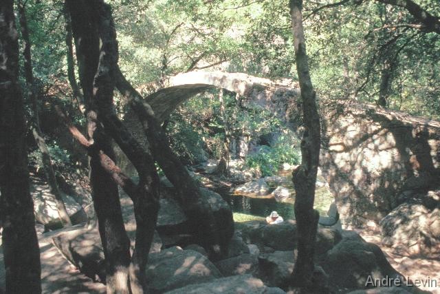 waldbruecke 