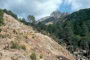 orto 