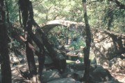 waldbruecke 
