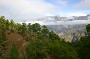 IMG_0427 