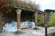 IMG_0581 