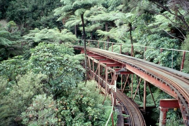 Coromandel 