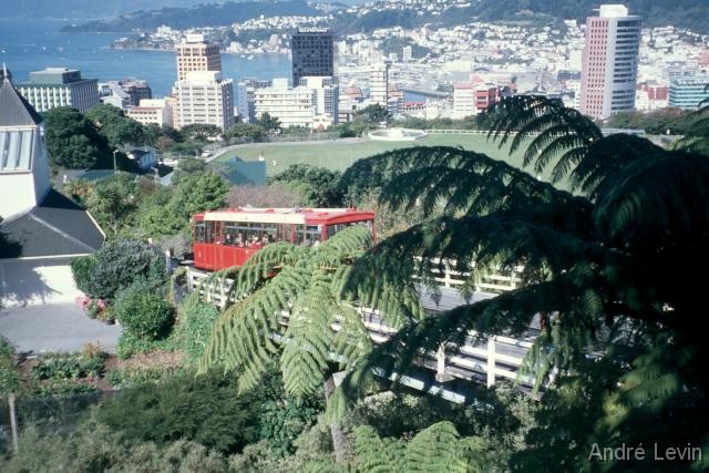 Wellington1 