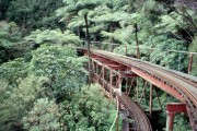 Coromandel 