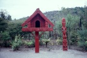 Maori