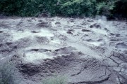 Thermal4 