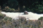 Tongariro2 