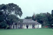 Waitangi1 