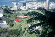 Wellington1 