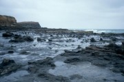 Curio_Bay 