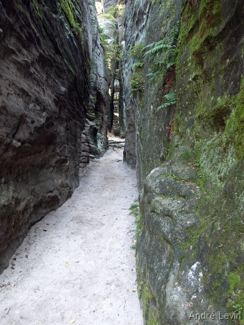 20070921_14-31-51